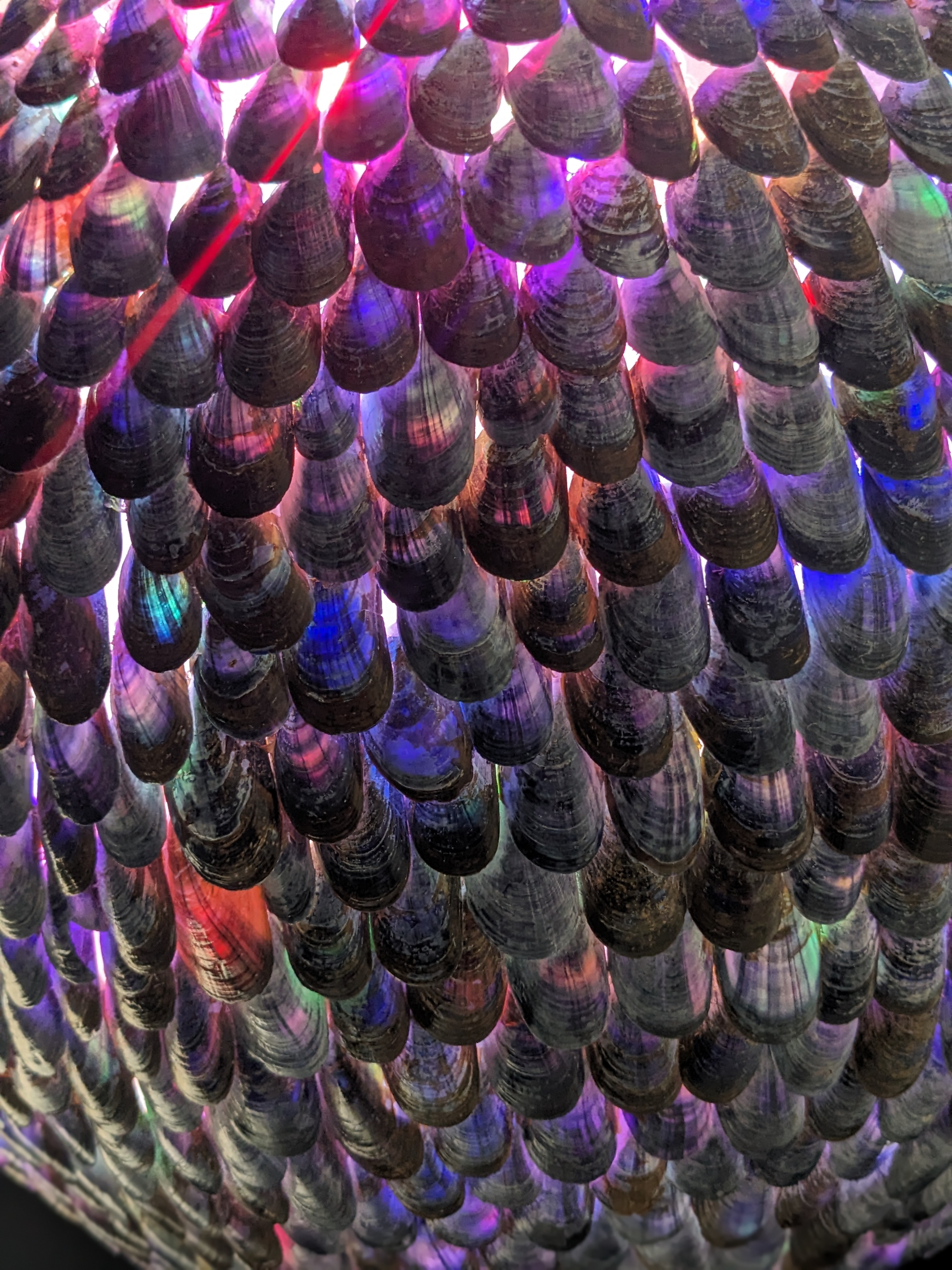 La moule à facettes